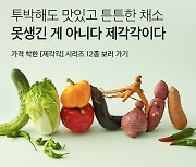 "투박해도 맛있다"…컬리, 못난이 채소 모은 '제각각' 출시