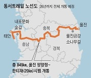 한반도 동서 잇는 849km 숲길... ‘한국판 산티아고 길’ 만든다