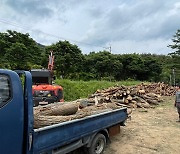 성주군, 숲가꾸기 부산물 땔감 나눔 행사 눈길