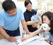 “비행기 타기 전 반려견은 호텔에 맡기세요”