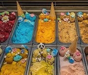 독감걸린 9살 아이에게 초코아이스크림·게임처방 브라질 의사…결국 해고
