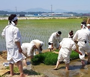 진천서 '충북농요축제'…용몽리농요 무형문화재 지정 20년 기념