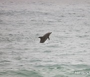 "제주도 생태법인 제도 공유 국제포럼 만들자"