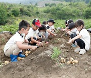 괴산 감물감자축제, 16~18일 감물면 어울림마당서 열려