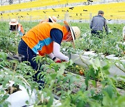 한국거래소, 함양군 죽곡마을서 일손돕기