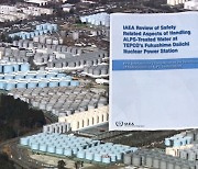 IAEA "일본 데이터, 믿을 만하다"…쟁점은?
