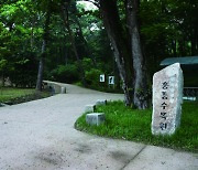 숨겨진 산림문화자산 함께 찾아주세요