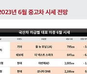 케이카 “6월 수입 중고차 가격 저점 찍는다”