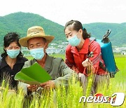 "다수확은 농민의 마땅한 도리"…북한, 농민에 '보답' 강조