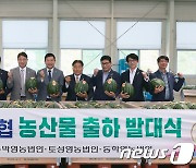 여름 과일의 왕 '고창수박' 출하…고창선운산농협 올해 2000톤 출하