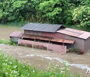 괌 태풍 북상으로 범람한 강물에 잠긴 日 주택