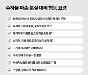 점잖게 신고? 대차게 따져라…공항에 내 짐 안왔을때 대처법