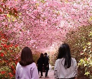 강진군ㆍ남미륵사 봄꽃축제 개최 상생협약 체결