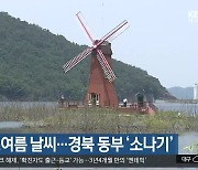 대구·경북 흐리고 초여름 날씨…경북 동부 ‘소나기’