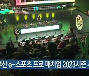 부산 e-스포츠 프로 매치업 2023시즌 시작