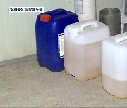 1년 판매량 천 톤 이상…‘수산용 포르말린’ 광범위 사용