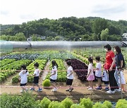 도심서 농업과 캠핑을 동시에…금천구 '힐링가족 캠핑농장' 운영 [메트로]