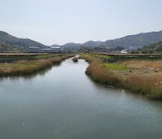 경남도 대표 우수습지 확대…남해 입현매립지 신규 지정