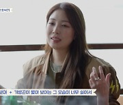 '15살 데뷔' 보아 "가방끈 짧아보이기 싫었다…어린애 취급해"