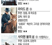 영화 ‘범죄도시3’ 등 [Culture Pick]