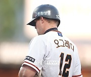 오그레디 퇴출한 한화, 눈여겨볼 만한 선수 풀리나… MLB 20홈런 타자 옵트아웃