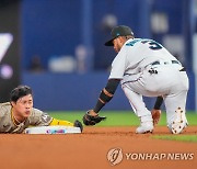 '1번 타자' 김하성, 2년 연속 두 자릿수 도루 성공…만점 활약