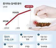 무리한 다이어트·기름진 보양식, 담석 생기는 지름길