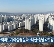 세종 아파트가격 상승 둔화…대전·충남 약보합