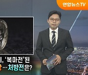 규제 없는 사이, '복마전' 된 가상화폐 시장…처방전은? [탐사보도 뉴스프리즘]