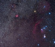 밝아지는 초거성 베텔게우스… ‘초신성 폭발’ 하나? [아하! 우주]