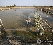 베트남 저명 환경운동가 탈세 혐의로 체포