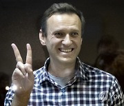 Russia Navalny Timeline