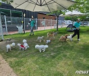 순천만정원박람회 반려견 돌봄 인기…시설 만족도·재방문 의사 100%