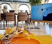 LG전자, 네덜란드 가구 브랜드 매장에 공간 디자인 TV '포제' 전시