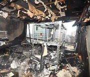 방에 피운 모기향 때문에…오피스텔서 화재 1명 부상, 주민 56명 대피