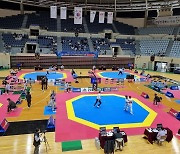 태권도 국가대표 선발전, 6일 안동체육관서 개최