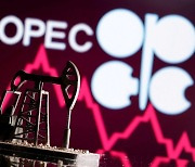 OPEC에게 플러스 되지 않는 OPEC+ [글로벌뉴스 톺아보기]