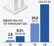 [그래픽] 깡통전세·역전세 위험가구 비중 현황