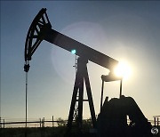 OPEC+ 내홍 끝에 사우디 일일 100만 배럴 자발적 감산