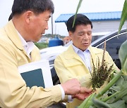 경남 고성군, 옥수수재배농가 열대거제미나방 긴급 방제