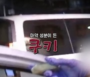 "차가 비틀거려요"…대마투약 외국인 시민 추격 끝에  체포