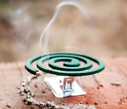 모기향 피우다 오피스텔 화재… 여름철 모기향 안전하게 사용하려면?