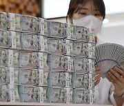 Korea's foreign reserves fall in May