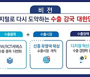 "디지털 수출 '유망주' SaaS·AI 키운다…중동·중남미 DX 공략"