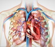 심장과 폐 ‘근육’을 파괴하는 ‘이 질환’은?