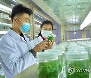 북한, 세계환경의날 기념…"국토환경보호사업 원만히 진행"