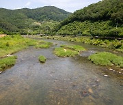 괴산군, 투망을 이용한 유어(遊漁)행위 허용구역 지정 운영