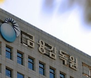 "환율변동 위험"…금감원, '채권 개미'에 당부
