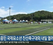 손흥민 국제유소년 친선축구대회 내일 열려