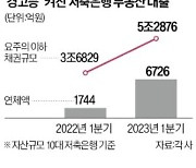 저축銀 부동산 대출 '경고등'…10곳 잠재위험 채권만 5.3조